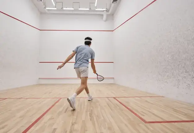 Sattva Neopolis - Squash